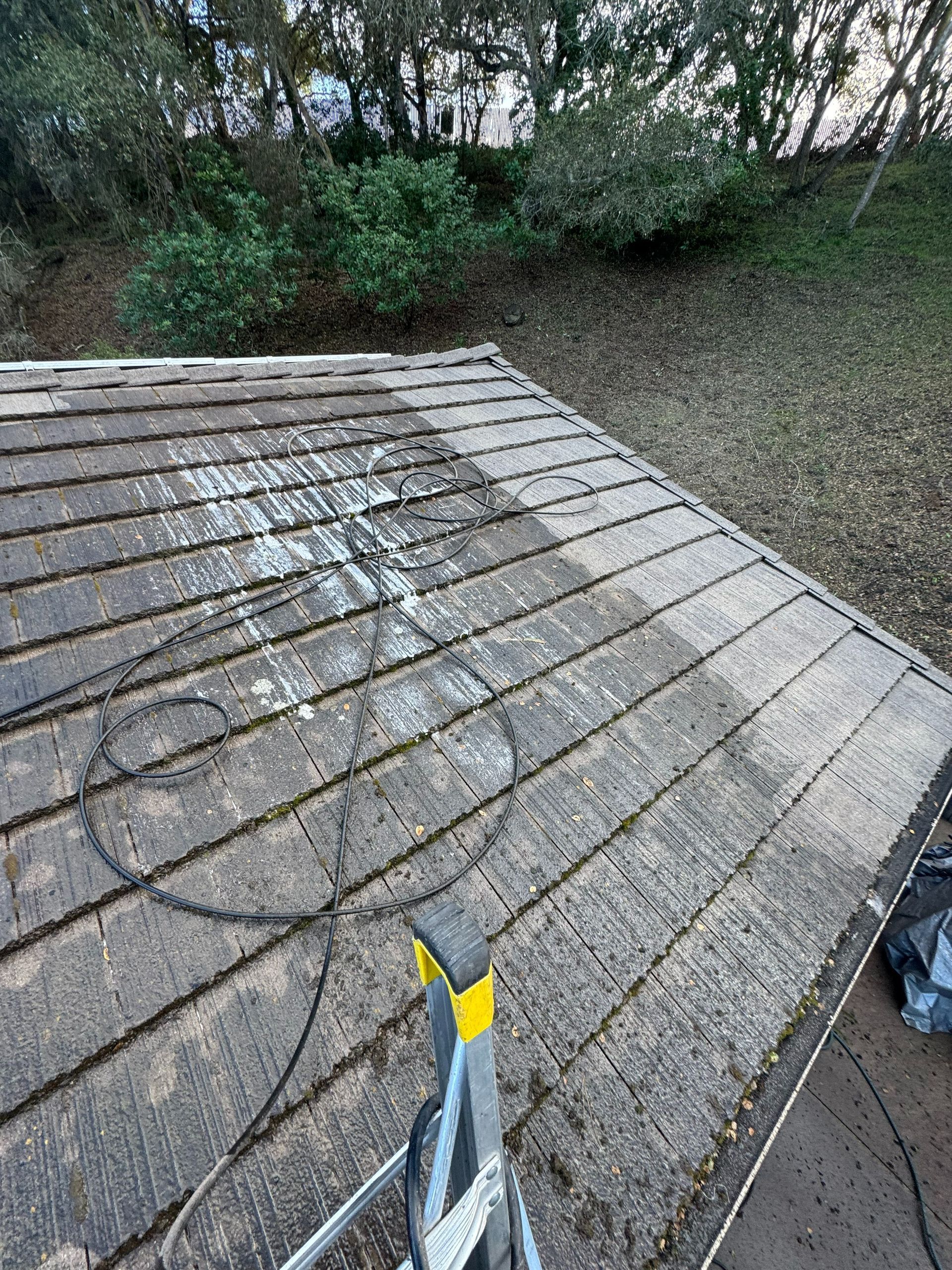 Residential roof being cleaned, ladder and equipment visible
